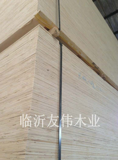 異形托盤板不可貌相，發(fā)展前景不可限量